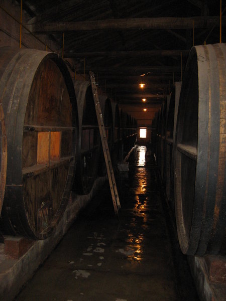 Big Barrels of Wine
