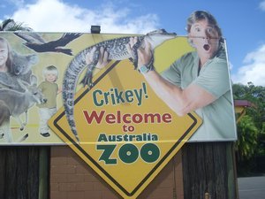 australia airlie,australia zoo and turtles mon repos 602