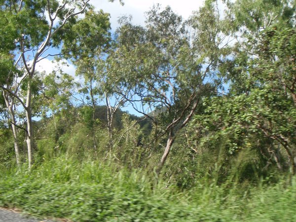 Woorabinda Aboriginal Community and The drive to Cannonvale 014