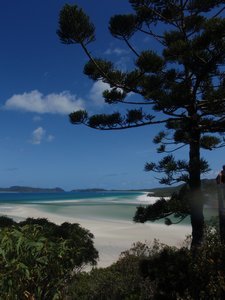 Bali hi, Mantra ray bay and Whitehaven beach and lookout 071