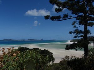 Bali hi, Mantra ray bay and Whitehaven beach and lookout 072