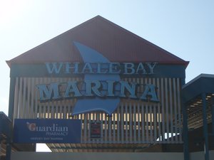 Whale Watching 001