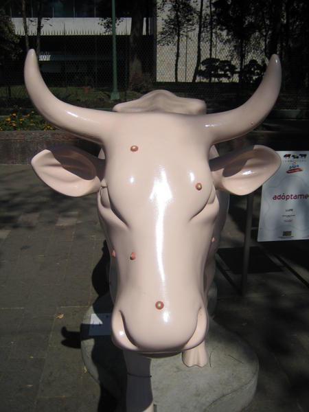 Pimply Cow