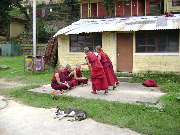 Women Monks Debating