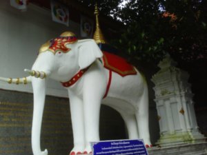 The elephant that carried the relic 