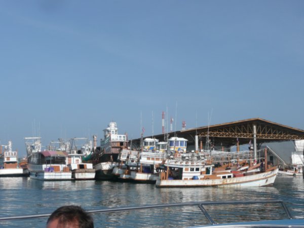 The Boat Dock