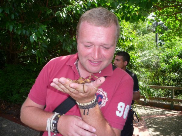Me & a Stick insect