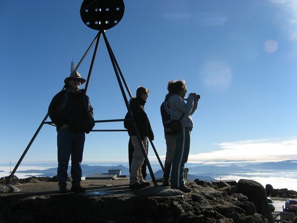 The Top of Mount Wellington