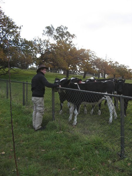 Ed feeding the cows that lived next door to the CVA house