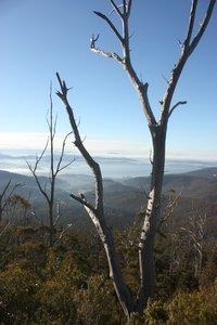 Views whilst climbing Mount Wellington