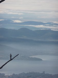 views whilst climbing Mount Wellington