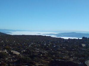 Mount Wellington