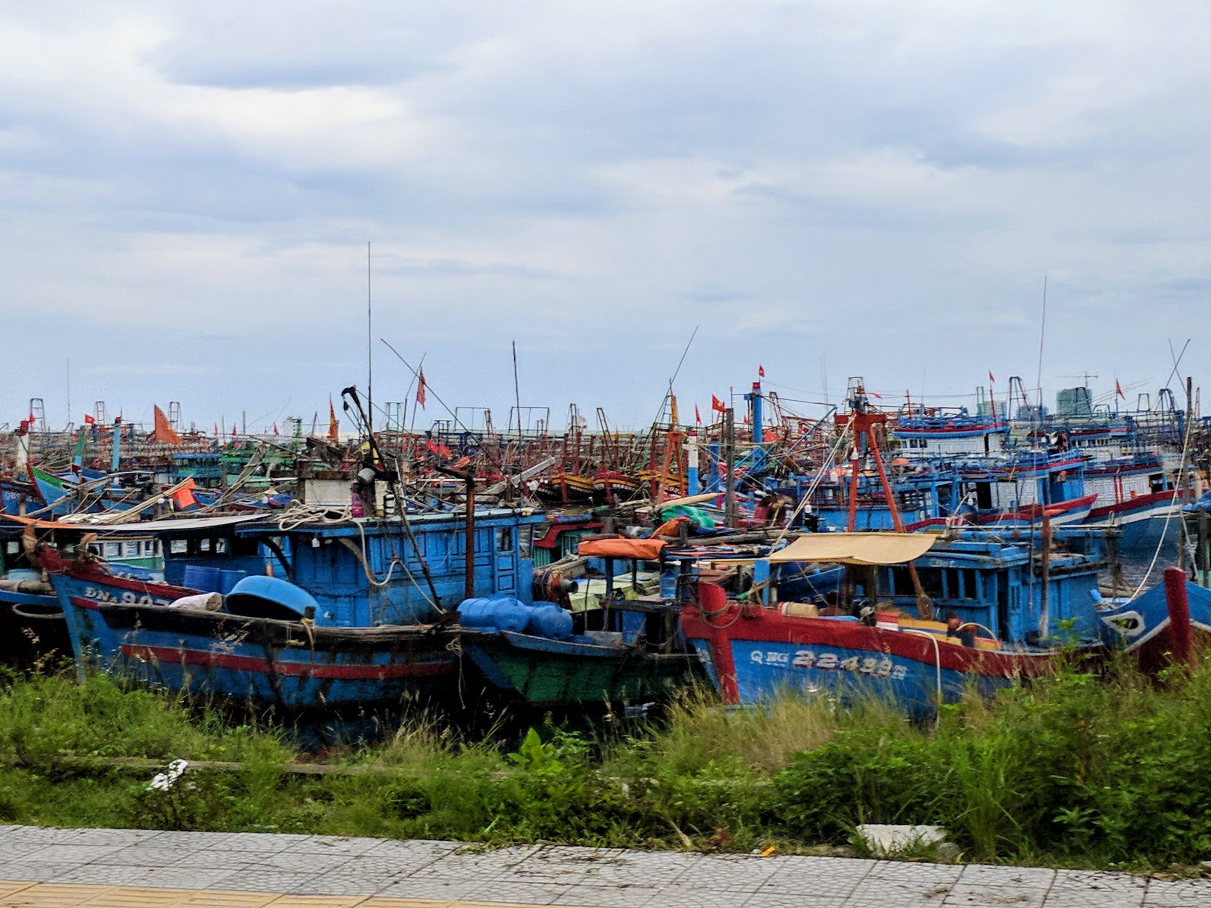 So many boats | Photo