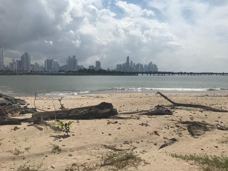 City View from Beach