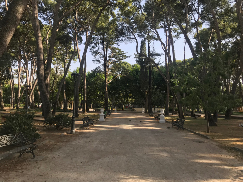 Leaning trees in Parque Miguel Servet