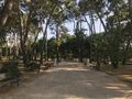 Leaning trees in Parque Miguel Servet