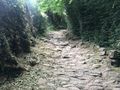 Ancient trail