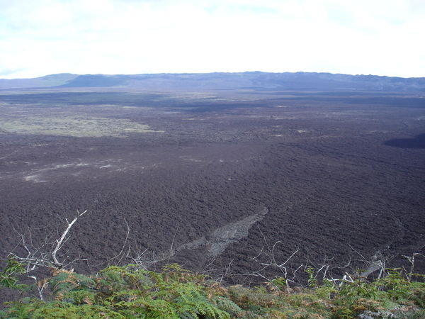 Sierra Negra Crater