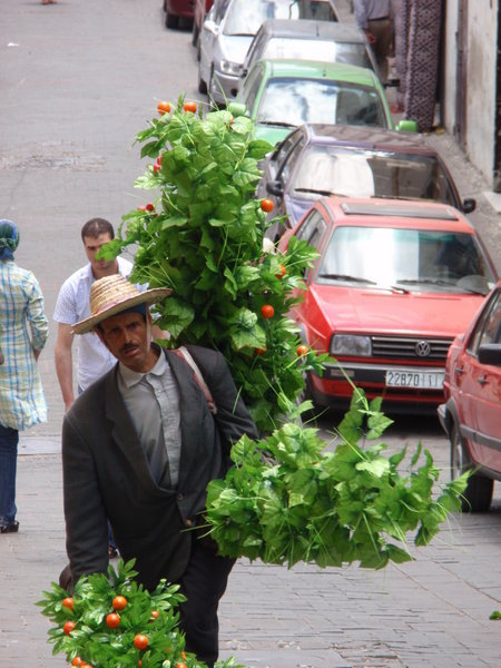 Man with Plants