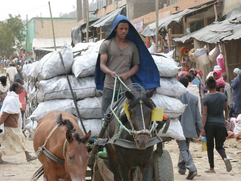 horse transport in market