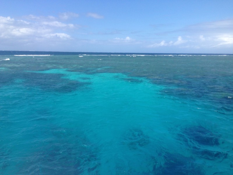 The outer reef