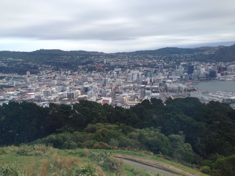 Another view of Wellington from Mt. Victoria