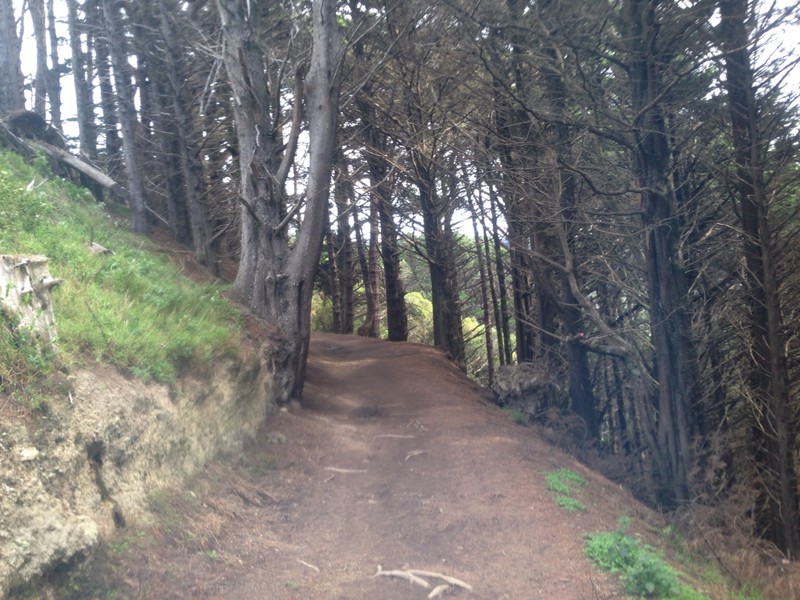 Trails up to Mt. Victoria 