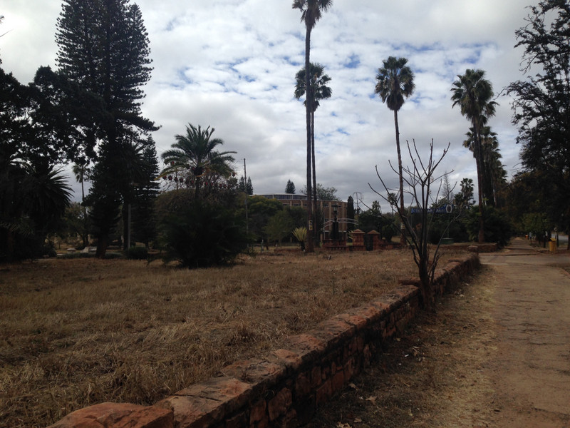 Overgrown park in Bulawayo 