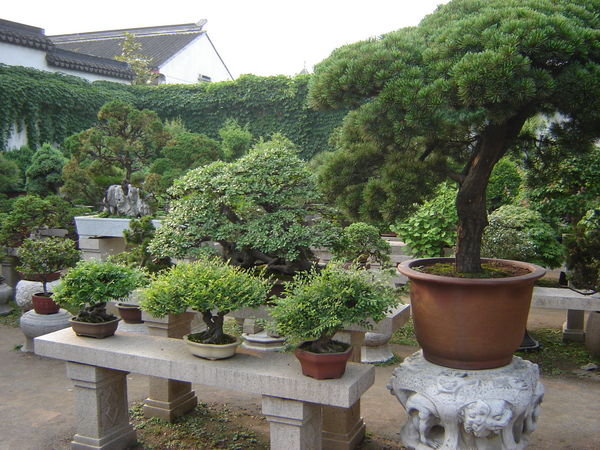 Humble Administrator’s Garden, Sūzhōu