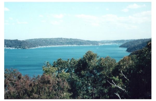 Pittwater - look at all the yachts stretching back in the distance