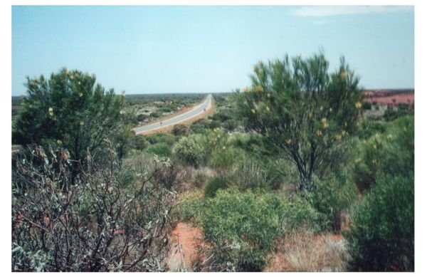 The Lasseter Hwy  on which we travelled 200 km of the 400 km Alice Springs to Yulara journey