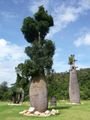 Mae Rim - Kralovnina botanicka zahrada - pestuji se zde tzv. Lahvove stromy, proste samorostouci lahvac - sen kazdeho pivare