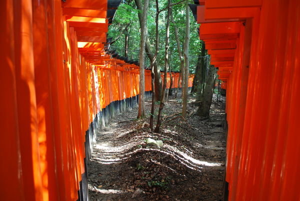 Fushimi Inari Shrine 