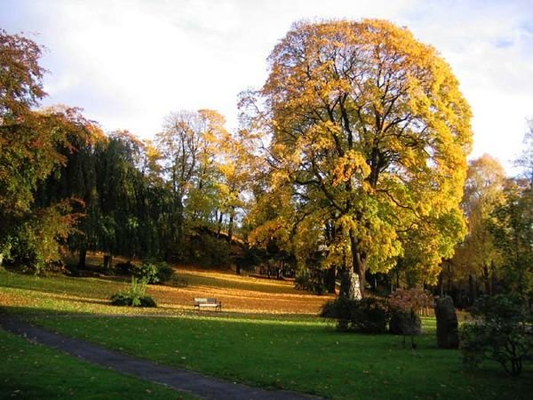 autumnal park