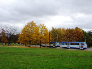 tram nr 5