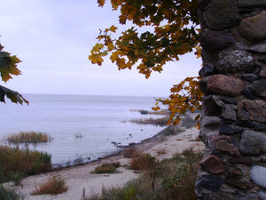 autumnal shore