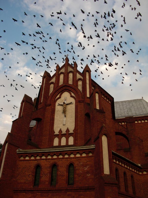 Crow church,Poland