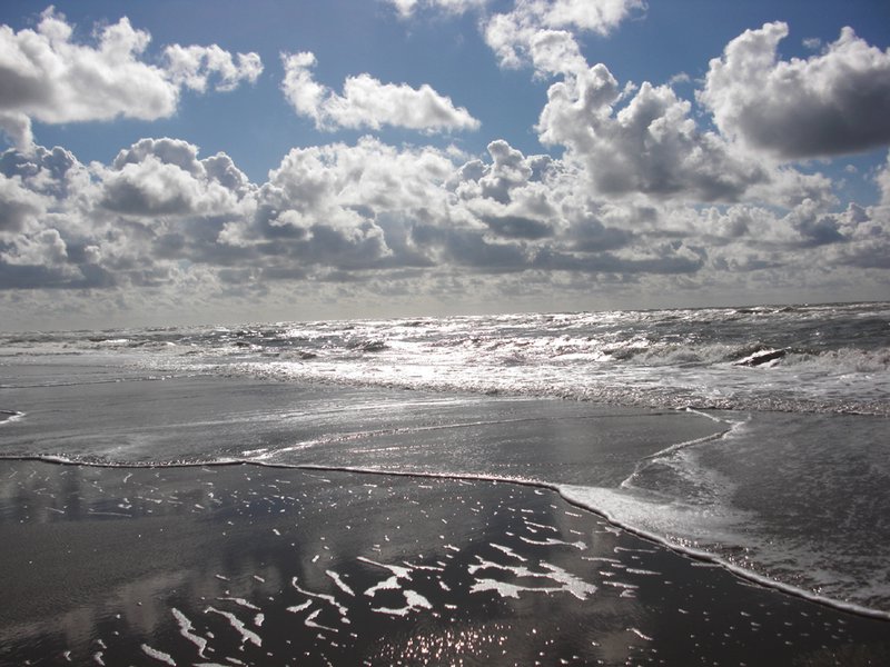 The Northern Sea, Holland