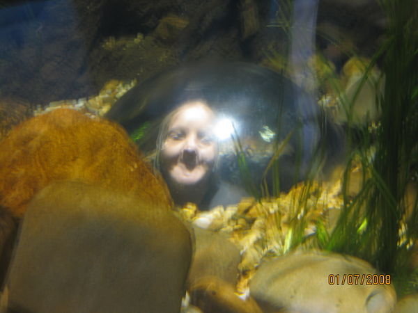 LOL!! me in the fish tank