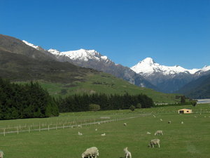 farms an hills, real NZ!