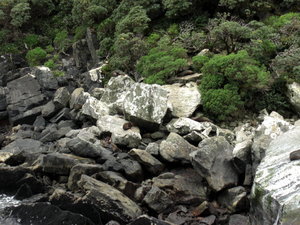 some rocks, dunno where but like the pic!
