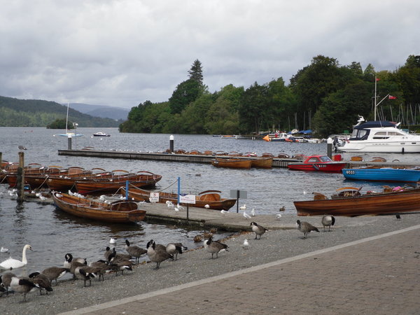 View from town of Bowness