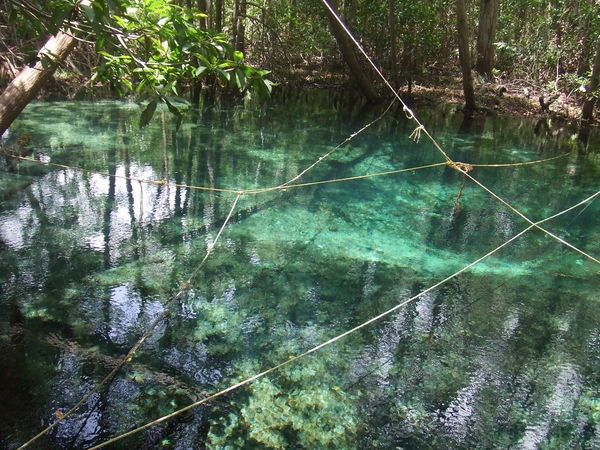 Another Cenote Picture