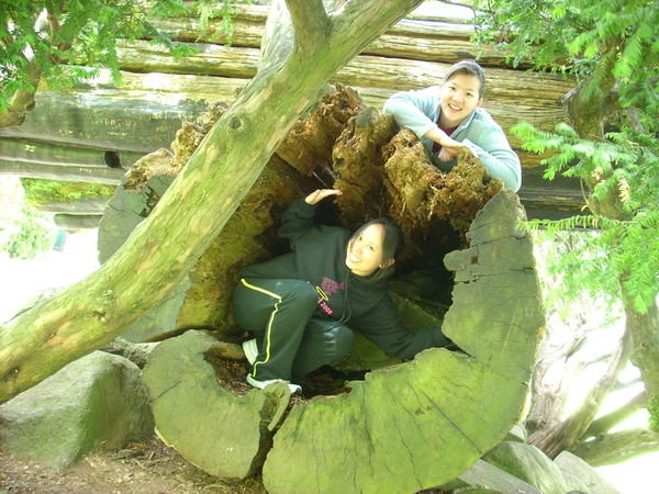 Log hole