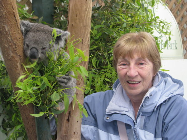 Koala Bear and Nancy