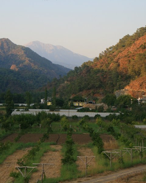 view of pastoral vadi from the hill