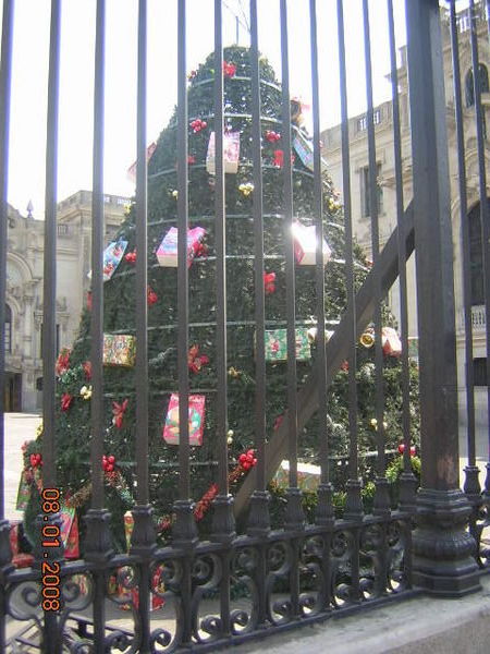Christmas tree at the Palace