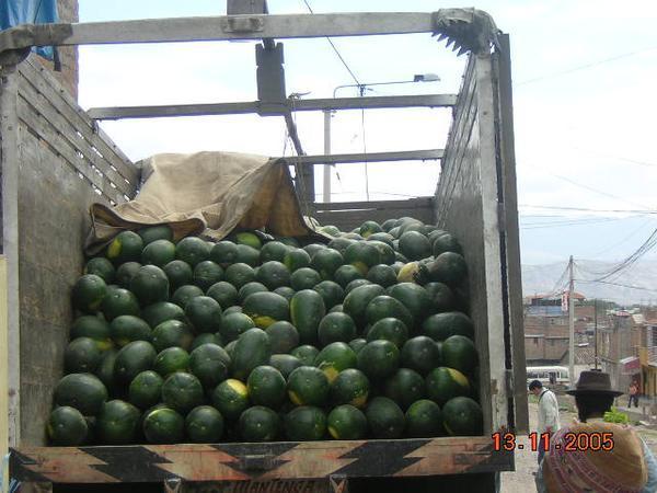 Truckload of water melons!!