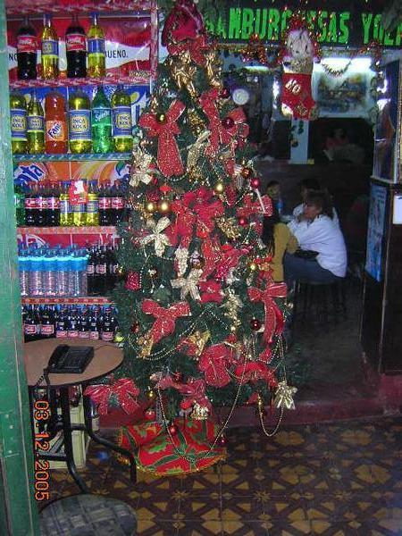 Ayacucjan Christmas Tree