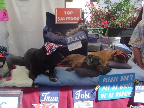 Sales dogs